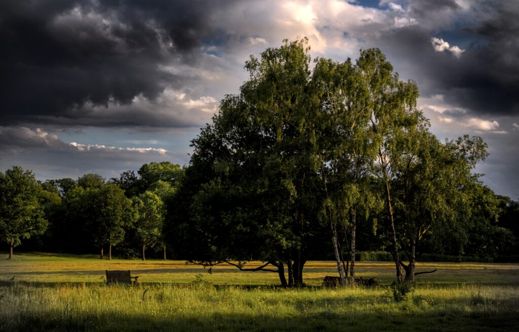 POTY7 The Light Before The Storm Jon Wade IMG 9021 07 20 Pts