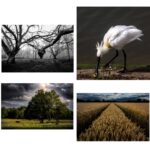 Montage Of Best Photos